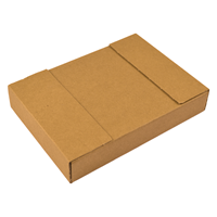 Brievenbusdoos bruin 160 x 120 x 26 mm (A6) met zelfklevende sluiting-2