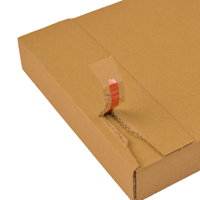 Brievenbusdoos bruin 230 x 160 x 26 mm (A5) met zelfklevende sluiting-1