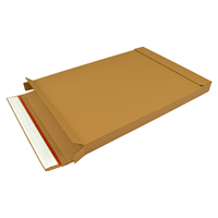 Brievenbusdoos bruin 370 x 260 x 26 mm (A4+) met zelfklevende sluiting