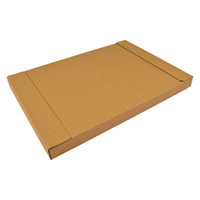 Brievenbusdoos bruin 370 x 260 x 26 mm (A4+) met zelfklevende sluiting-3