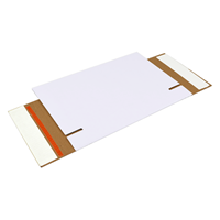 Brievenbusdoos wit 160 x 120 x 26 mm (A6) met zelfklevende sluiting-2