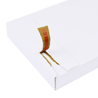 Brievenbusdoos wit 230 x 160 x 26 mm (A5) met zelfklevende sluiting-1