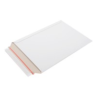 Kartonnen enveloppen 250 x 353 mm (B4) - per 100 stuks-2