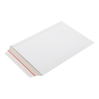 Kartonnen enveloppen 262 x 371 mm (EB4) - per 100 stuks-2