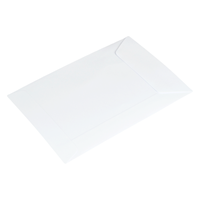 Loonzakjes 65 x 105 mm wit papier - per 1000 stuks