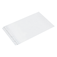 Transparante enveloppen 250 x 350 mm (B4) - 70 micron LDPE - per 100 stuks-2