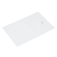 Vlakke zakken 200 x 300 mm - 50 micron LDPE - per 1000 stuks-2