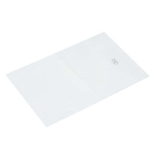 Vlakke zakken 200 x 300 mm - 50 micron LDPE - per 1000 stuks-2