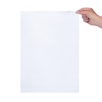 Ritszakken transparant 320 x 440 mm (A3) - 60 micron LDPE - per 100 stuks-2